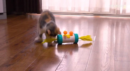 Venda quente de brinquedos para cães/gatos, produto para animais de estimação para brinquedo alimentador, cor preta